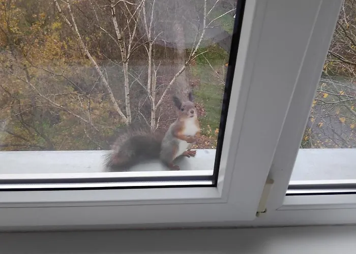 Pirni Апартаменты